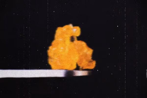 Premium cannabis concentrate